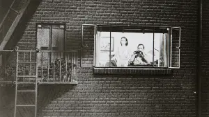 Задник к фильму "Окно во двор" #174401