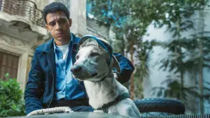 Задник к фильму "" #637156