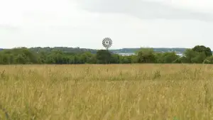 Задник к фильму "Королевство полной луны" #719479