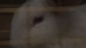 Задник к фильму "Мы" #656856