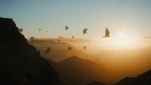 Задник к фильму "Хоббит: Нежданное путешествие" #562089