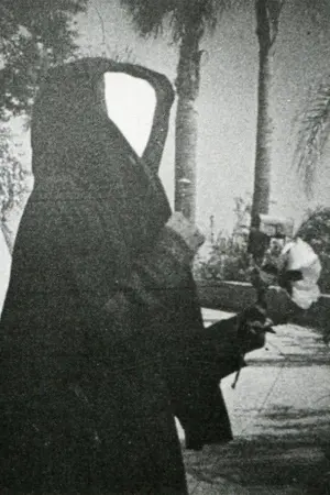 Постер к фильму "Послеполуденные сети" #202135