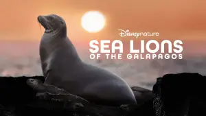 Задник к фильму "Sea Lions of the Galapagos" #719358