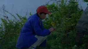 Задник к фильму "Фейерверк" #710961