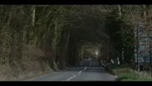 Задник к фильму "Дом-ловушка" #191207