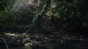 Задник к фильму "Аннигиляция" #618587