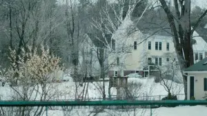 Задник к фильму "Манчестер у моря" #624217