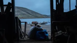 Задник к фильму "" #197300