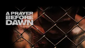 Бои без правил