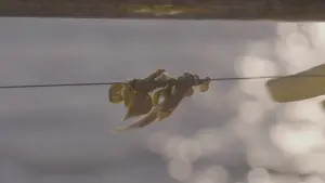 Задник к фильму "" #444232