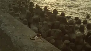 Задник к фильму "Станция" #633926