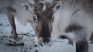 Задник к фильму "" #539298