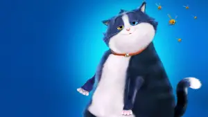 Задник к фильму "10 жизней" #626720