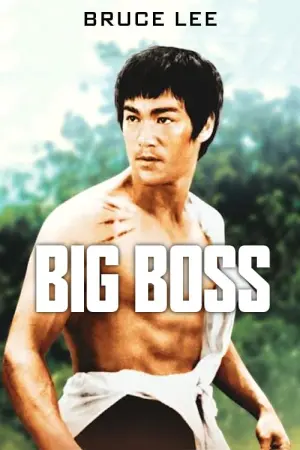 Постер к фильму "Большой босс" #91128
