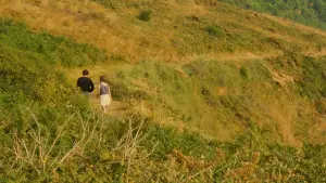 Задник к фильму "Летняя сказка" #385979