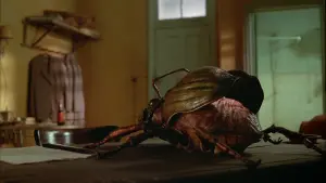 Задник к фильму "Обед нагишом" #245725