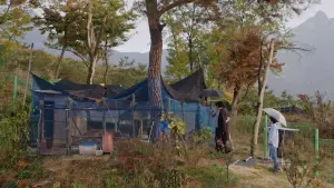 Задник к фильму "Женщина, которая убежала" #397537