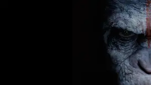 Задник к фильму "Планета обезьян: Революция" #596947