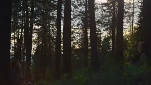 Задник к фильму "Сны поездов" #514911