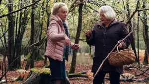 Задник к фильму "Что случилось осенью" #605254