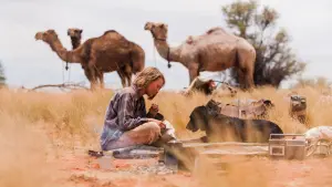 Задник к фильму "Тропы" #253925