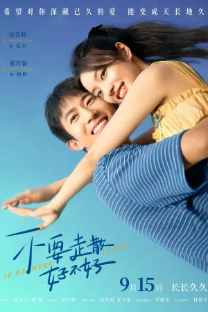 Постер к фильму "不要走散好不好"