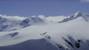 Задник к фильму "Властелин колец: Братство кольца" #503279