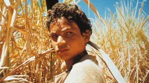 Задник к фильму "Последнее солнце" #492510