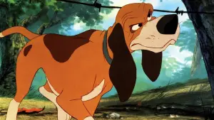 Задник к фильму "Лис и пёс" #675971