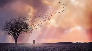 Задник к фильму "Милые кости" #241676