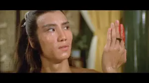 Задник к фильму "Ниндзя пяти стихий" #471121