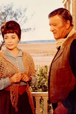 Постер к фильму "Жестяная звезда" #411551