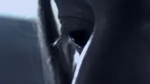 Задник к фильму "Молодой Адам" #394604