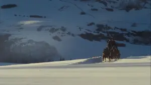 Задник к фильму "Омерзительная восьмёрка" #582707