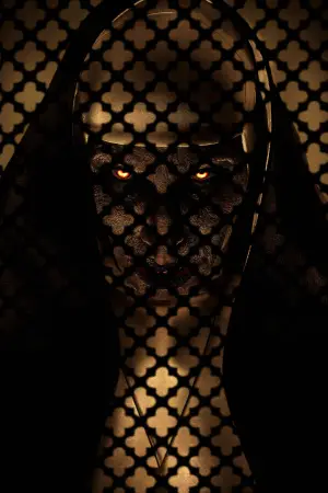 Постер к фильму "Проклятие монахини 2" #663789