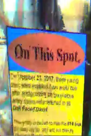 File 338c - Doll Faced David