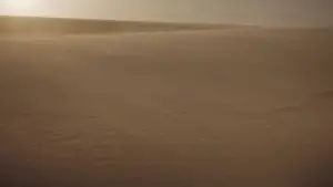 Задник к фильму "Дюна" #529617