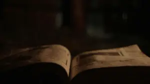 Задник к фильму "Ведьма" #600216