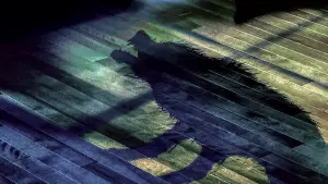 Задник к фильму "Девушка из воды" #377927