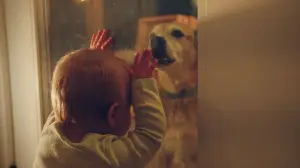 Задник к фильму "Good Dog" #776209