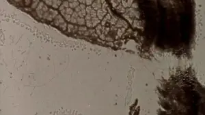 Задник к фильму "" #703586