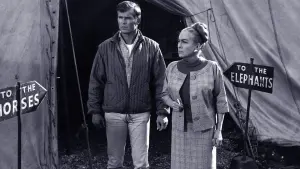 Задник к фильму "Берсерк" #470585