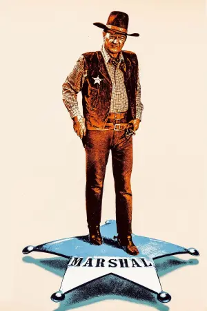 Постер к фильму "Жестяная звезда" #411552