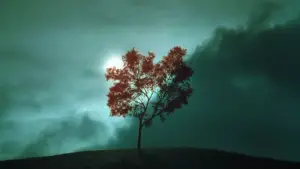 Задник к фильму "Звонок" #636357