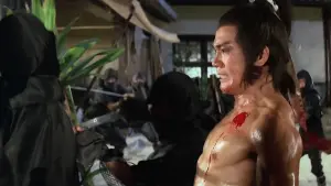 Задник к фильму "Ниндзя пяти стихий" #471102