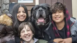 Задник к фильму "Собачий патруль: Операция «Санта Лапкус»" #632240