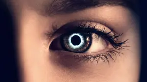 Задник к фильму "Гостья" #292740