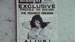 Задник к фильму "Розовые фламинго" #612061