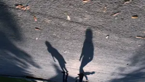 Задник к фильму "Древо жизни" #266180