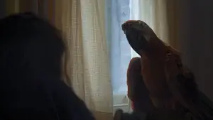 Задник к фильму "" #532798